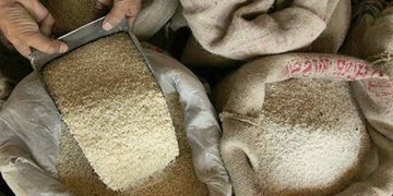 Rice exporters seek to be part of paddy procurement process in Telangana