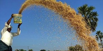 Telangana hints at shutting down village-level paddy procurement centres