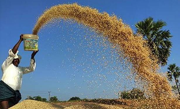 Telangana hints at shutting down village-level paddy procurement centres