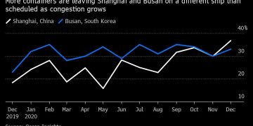Frozen Fish Pileup in China Threatens Global Supply Chains