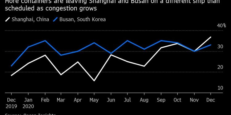 Frozen Fish Pileup in China Threatens Global Supply Chains