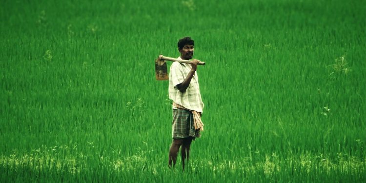 Anger brewing among Telangana farmers over procurement centres