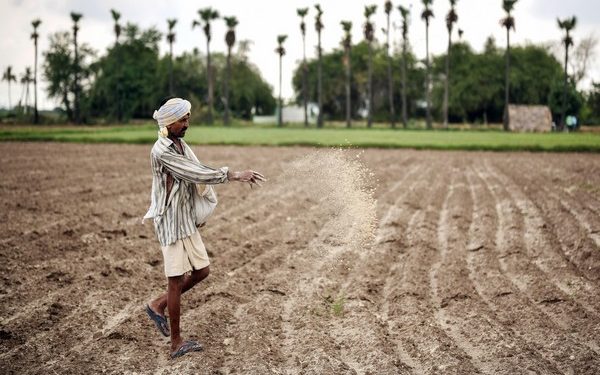 Kharif Paddy procurement increased by 22 pc in Odisha compared to last year-ANI