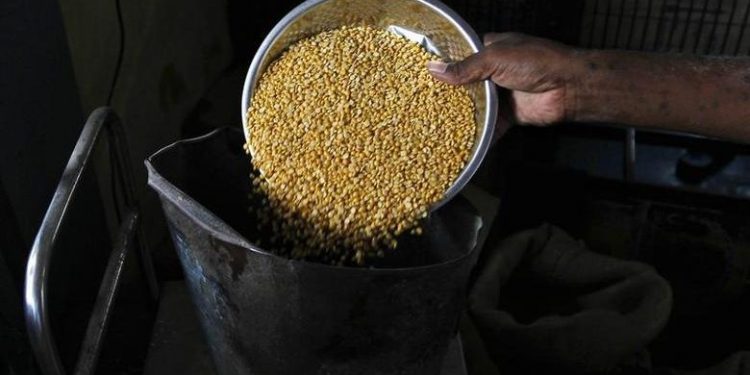 Questions We Should Be Asking About Food Wastage in the Govt’s Procurement Process