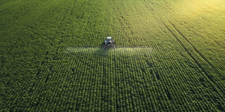 Academics Highlight Food Supply Chain Risks During Pandemic