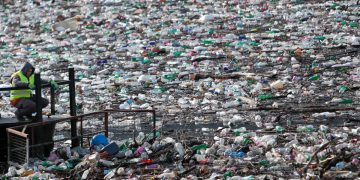 Rubbish-Covered Lake Brings to Light Balkans Waste Problem | Business News