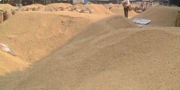 Modi govt’s paddy procurement at MSP surges by 23 per cent