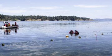 Trevor Hancock: We need to learn from Indigenous people how to be stewards of nature