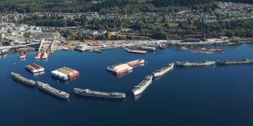 Group asks for tree inventory in Powell River’s Townsite neighbourhood