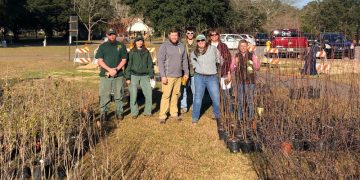 Arbor Day Tree Giveaway In Molino, Art Contest Announced : NorthEscambia.com