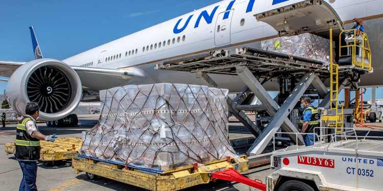 IATA reports November cargo capacity contracted as demand recovers