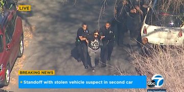 Police chase: Driver of stolen cargo van arrested after leading authorities on high-speed pursuit in Los Angeles area