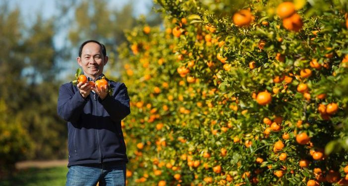 Australian exporters feel the pinch as shipping container shortage, COVID-19 protocols take a toll