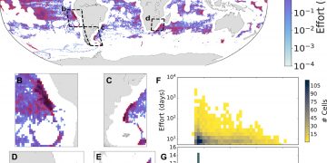 The global network of ports supporting high seas fishing