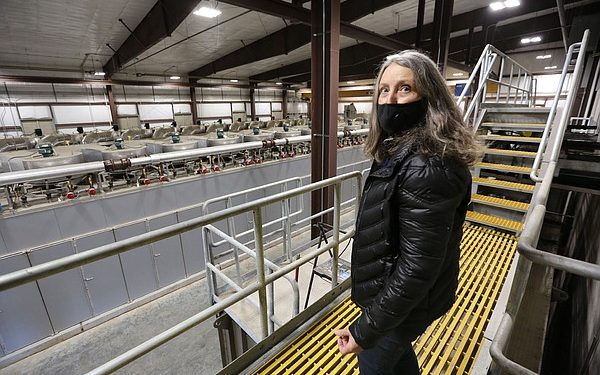 Springdale wants sludge dryer completed