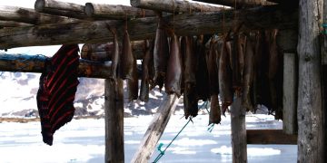 High Waves in Fisheries and National Security