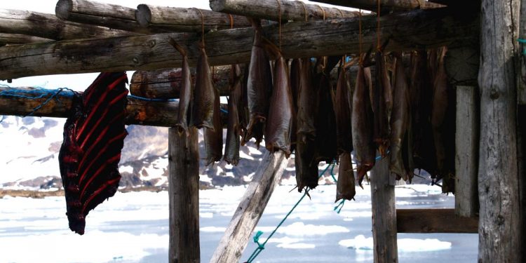 High Waves in Fisheries and National Security