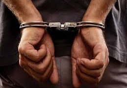 Two employees among 3 held for Gurugram warehouse theft : The Tribune India