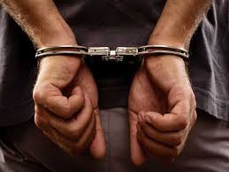Two employees among 3 held for Gurugram warehouse theft : The Tribune India
