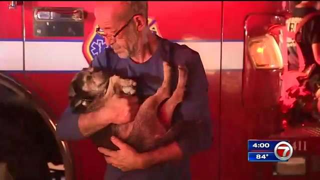 1 transported, dog rescued after Fort Lauderdale warehouse catches fire – WSVN 7News | Miami News, Weather, Sports