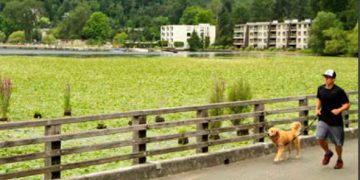 City of Kirkland begins rollout of its commitment to sustainability plan