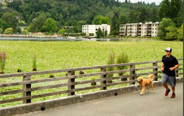 City of Kirkland begins rollout of its commitment to sustainability plan