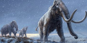 Mammoth Genomes Shatter Record for Oldest DNA Sequences
