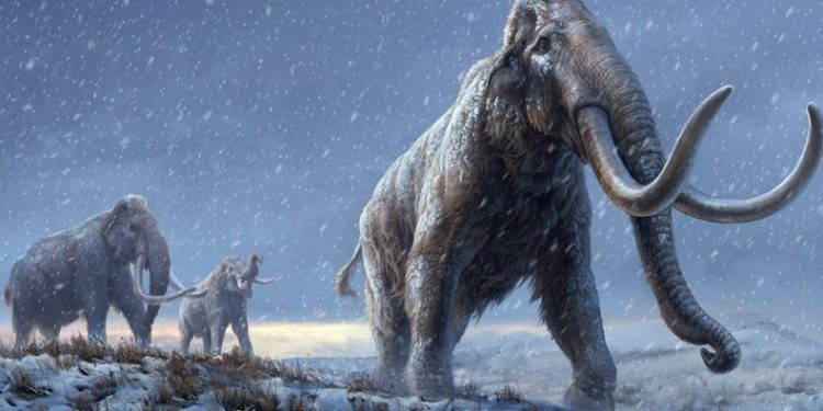 Mammoth Genomes Shatter Record for Oldest DNA Sequences