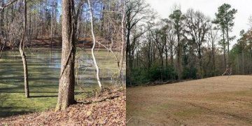 A look back at cleanup success at Savannah River Site in 2020 | Savannah River Site