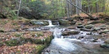 Olive board to vote on adopting town ‘Natural Resources Inventory’ | Local News