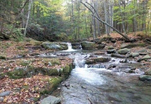 Olive board to vote on adopting town ‘Natural Resources Inventory’ | Local News