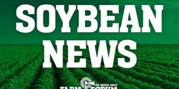 Soybean group says access, competitive shipping rates integral to soy | Farm Forum