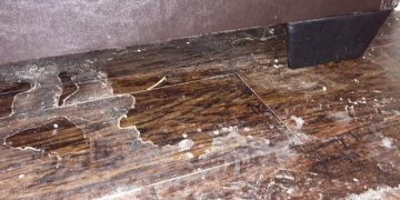 Dallas Renter Concerned About Long Term Consequences of Water Damage – NBC 5 Dallas-Fort Worth