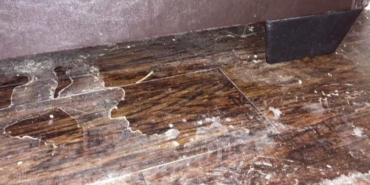 Dallas Renter Concerned About Long Term Consequences of Water Damage – NBC 5 Dallas-Fort Worth