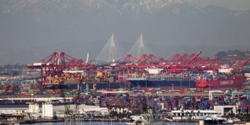 Global food trade has been upended by container crisis, Transport