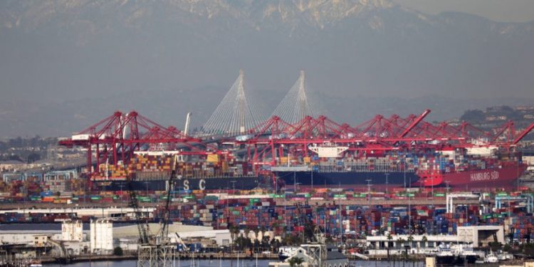 Global food trade has been upended by container crisis, Transport