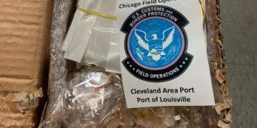 Fake Cartier, Rolex shipments intercepted in by US customs
