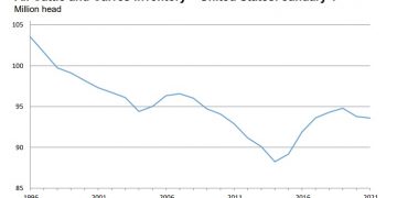 Cattle Inventory down slightly in USDA report – KIWARadio.com