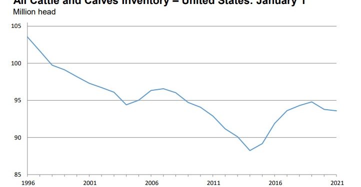 Cattle Inventory down slightly in USDA report – KIWARadio.com