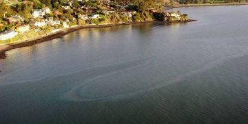 Chevron Richmond Refinery Spill: As Crews Mop Up, Investigators Move In