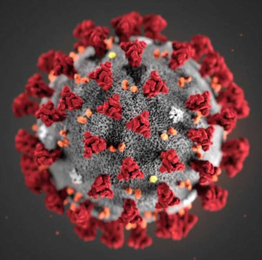 A COVID-19 particle is pictured in this image provided by the CDC. A study published in the Lanced medical journal examined the case of a man who became infected with two different variants of the SARS-CoV-2 virus in less than two months. (Centers for Disease Control and Prevention) Photo: CDC, HO / TNS / TNS