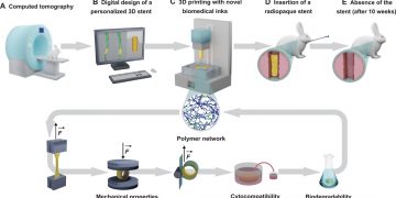 Digital light 3D printing of customized bioresorbable airway stents with elastomeric properties