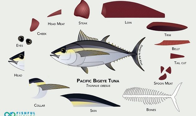 Fishful Future: Toward a Zero Waste Seafood Supply Chain