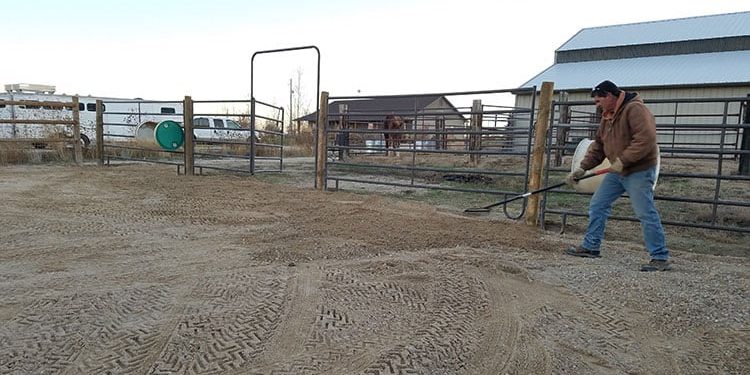 Dealing With Pooling Urine and Frozen Winter Horse Paddocks – The Horse