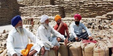Government’s Paddy Procurement at MSP Rises by 18 percent
