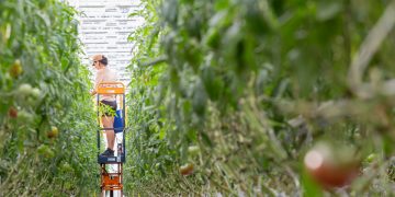 Lufa Farms: The future of the food supply chain lives on a rooftop in Montreal