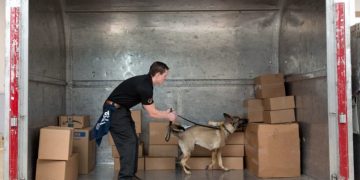 Air cargo goes crazy for K-9 security