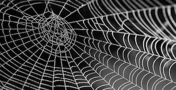 Mitigating Supply Chain Risk  | Cyber Security Hub