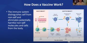 Supply Chain Experts Explore Challenges of COVID-19 Vaccine Distribution