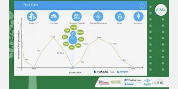 Analysing fruit data in the supply chain has never been more important for business efficiency